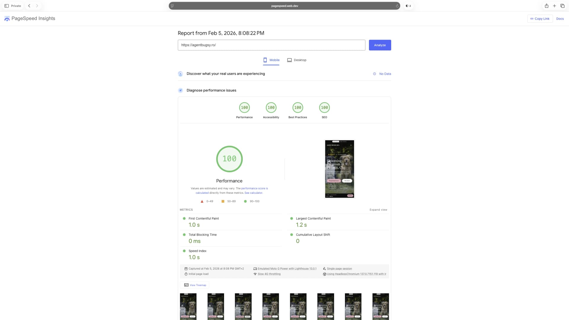 PageSpeed Insights - scor de performanță