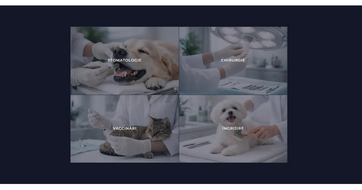 Pierzi lead-uri și programări fără să știi? Ghid pentru servicii locale (+ exemplu BugsyVet)