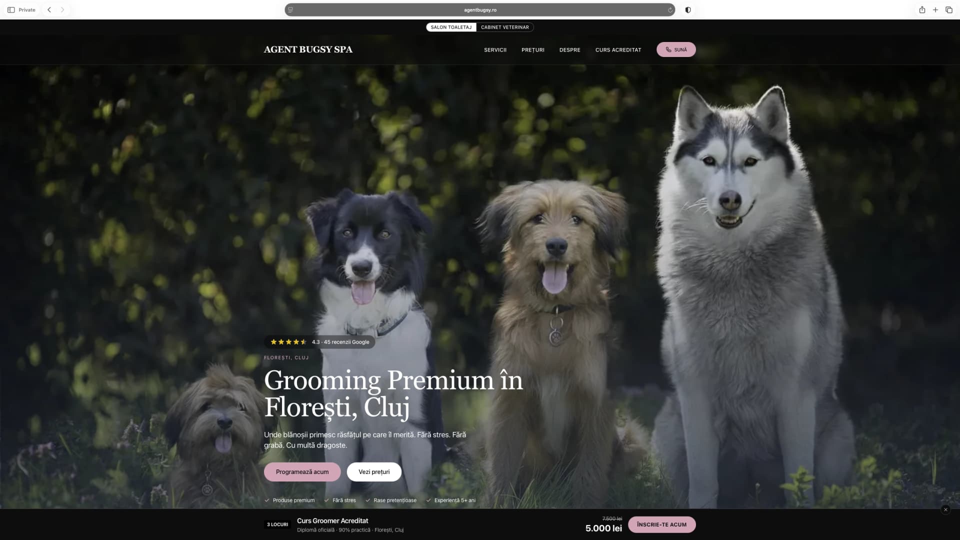 De Ce Salonul Tău de Grooming E Invizibil pe Google (Și Cum L-am Dus pe Agent Bugsy pe #1 în 30 de Zile)